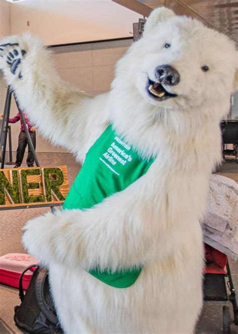 Cleaning Mascots: A Success Story in Student Entrepreneurship
